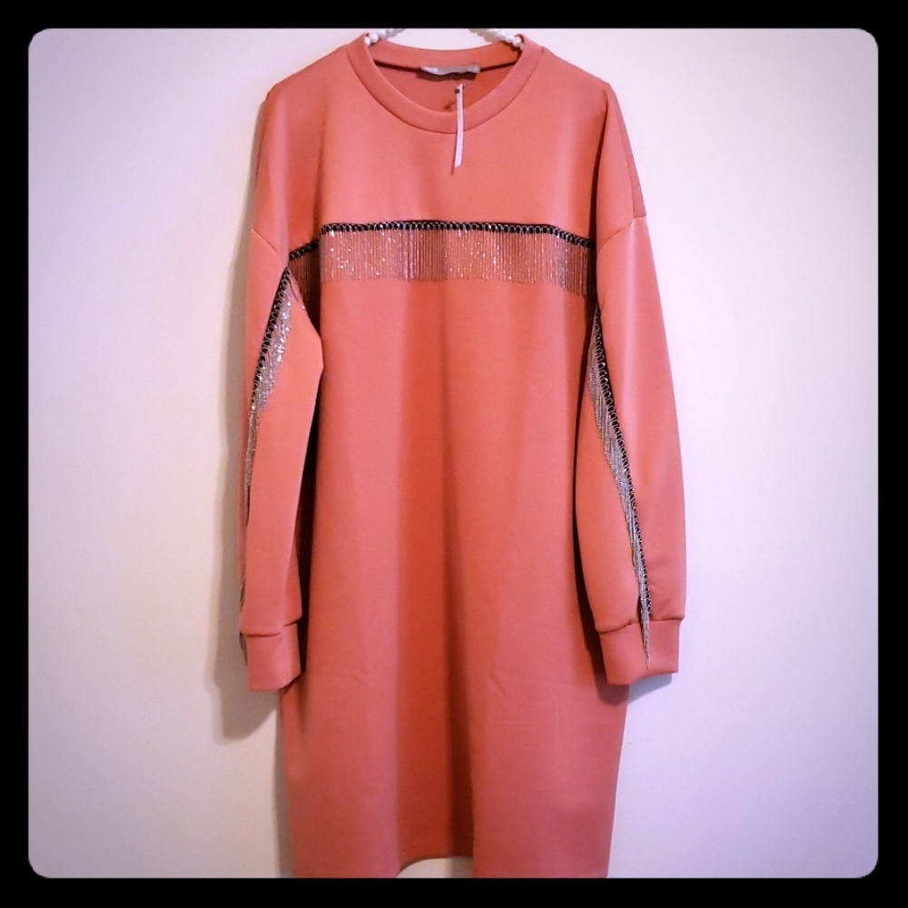 ASOS Pink Shift Silver Tassles Dress